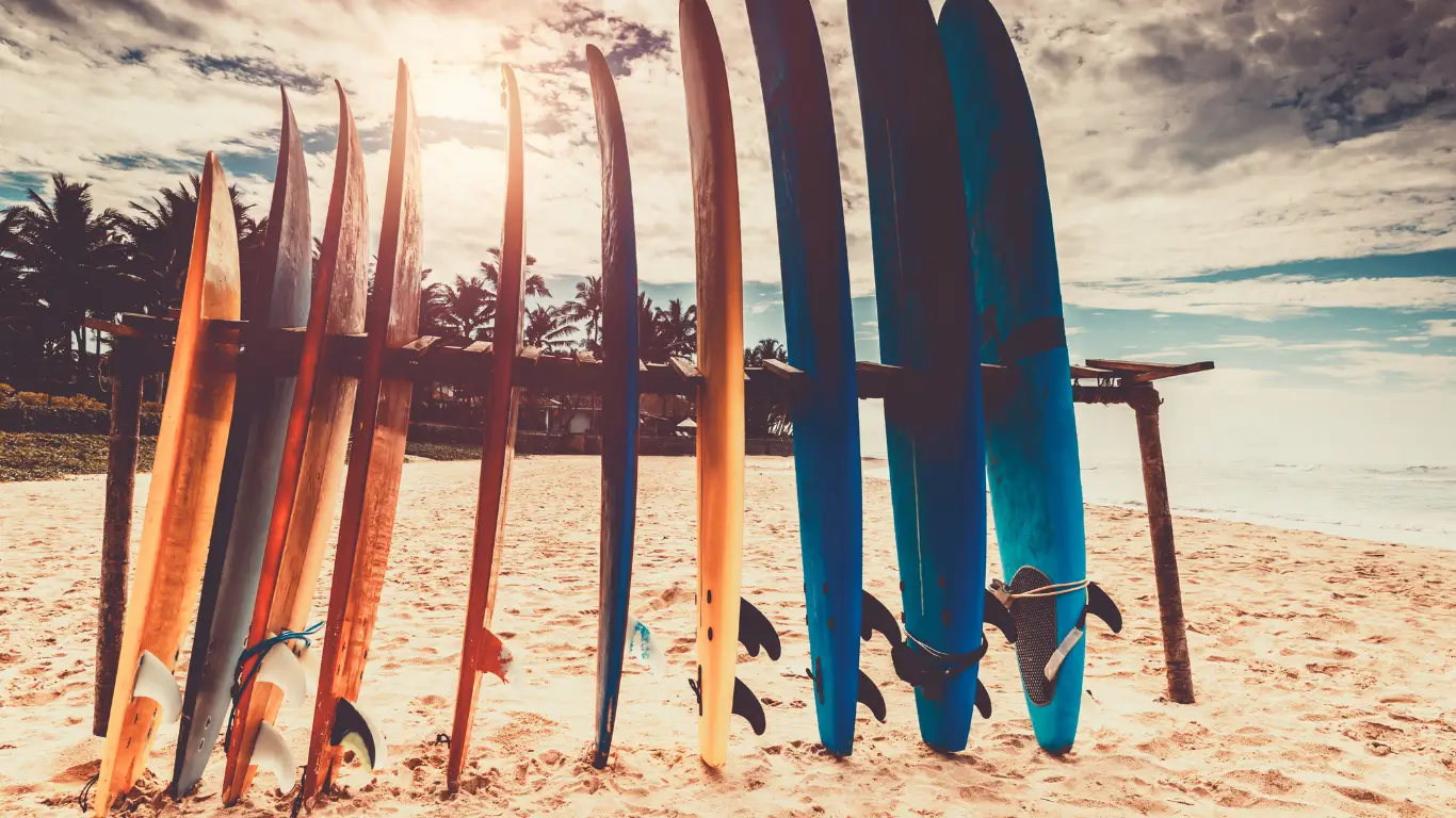 surfing board for beginners